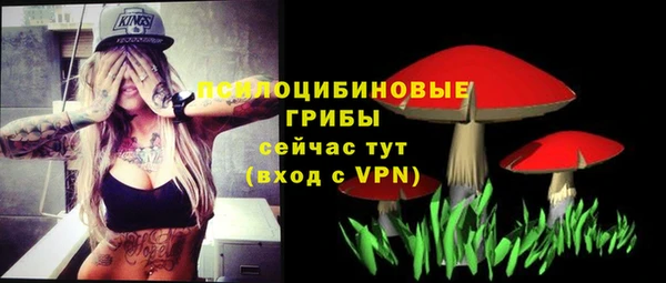 МДПВ Абдулино