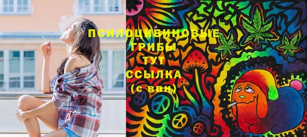 МДПВ Абдулино