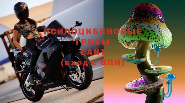 крисы Алзамай