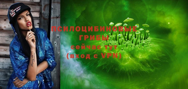 МДПВ Абдулино
