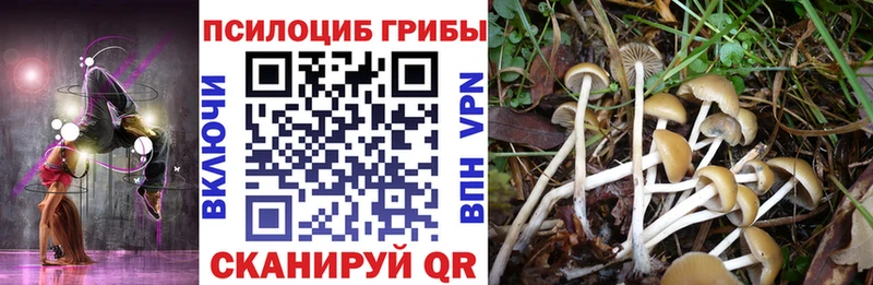 Псилоцибиновые грибы мицелий  ссылка на мегу ссылки  Александров 